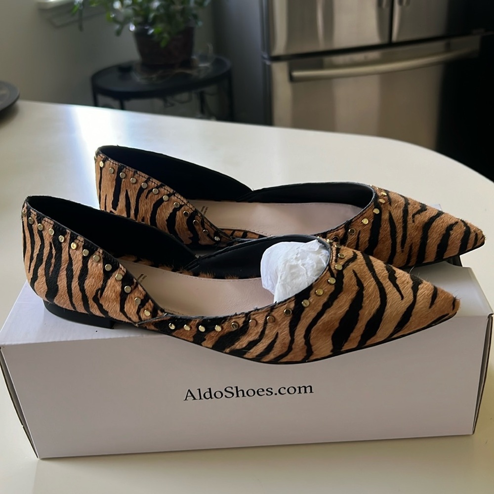 ⚡️SALE⚡️ Aldo PILMACLYA Flats